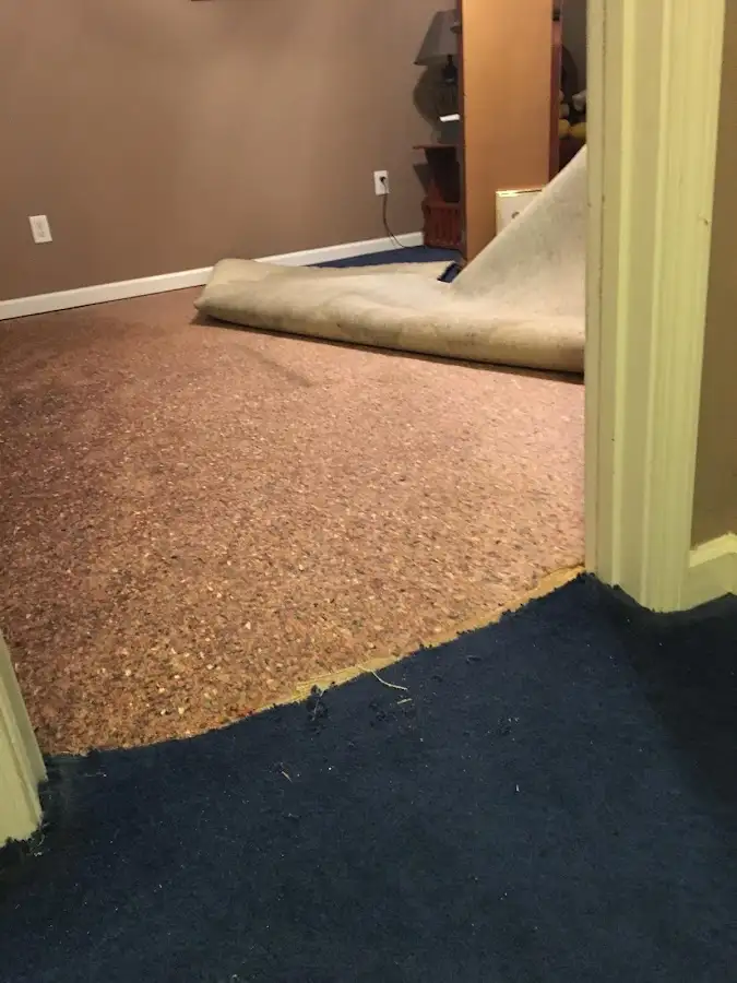 Carpet pad removal revealing water damage during Drying & Dehumidification in Mill Creek East