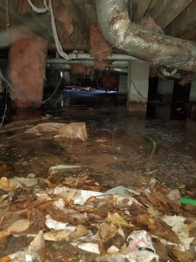 Crawl space flood assessment for Leak Detection & Repair in Mill Creek East